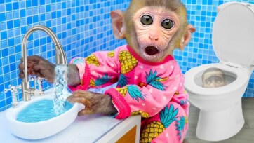 Baby Monkey Learning Handwash – Cute Hygiene Lesson for Kids