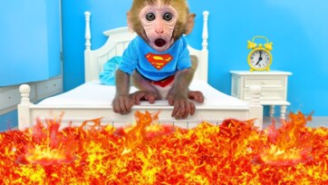 Baby Monkey Plays “Floor Is Lava” – Funny Monkey Jumping Game for Kids